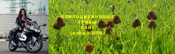 прущая мука Володарск
